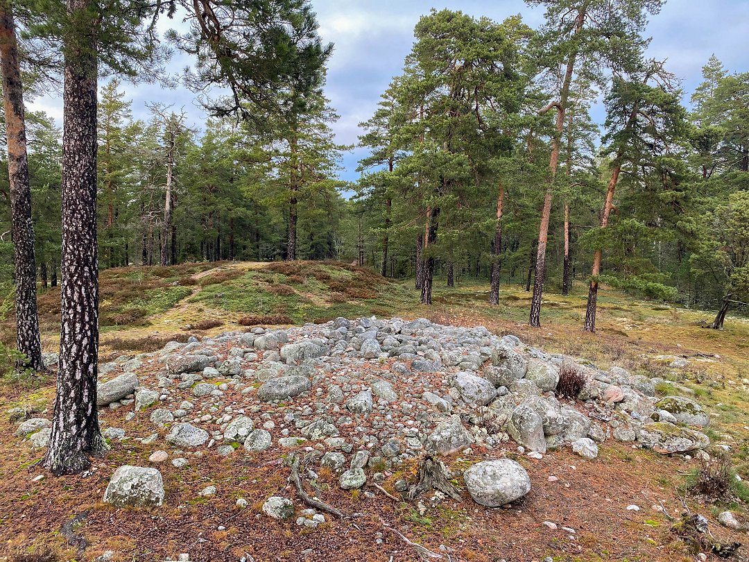 Rösaringsåsens naturreservat, Bro - november 2023